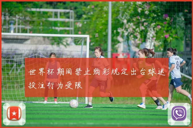 世界杯期间禁止购彩规定出台球迷投注行为受限