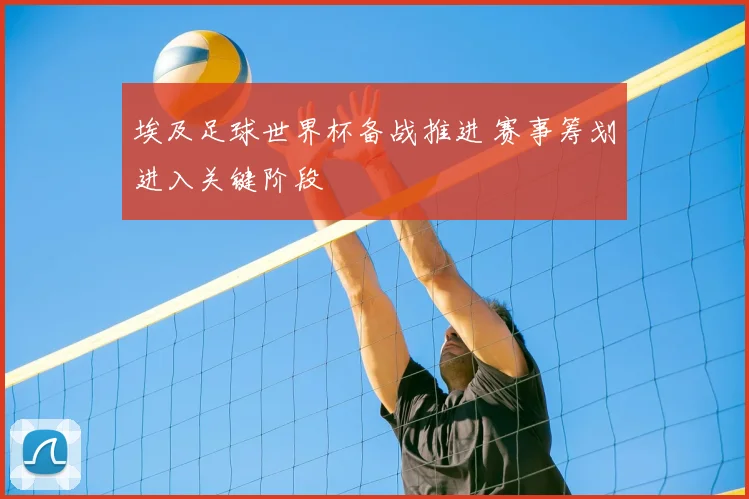 埃及足球世界杯备战推进 赛事筹划进入关键阶段