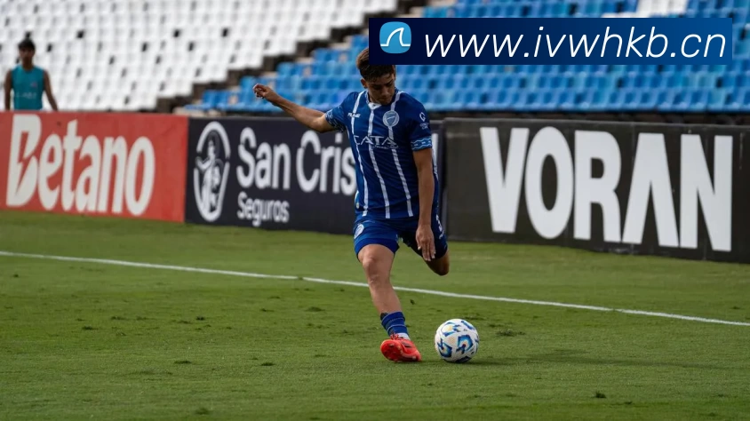 196体育 官网 登录(中国) - 官方网站平台生态图